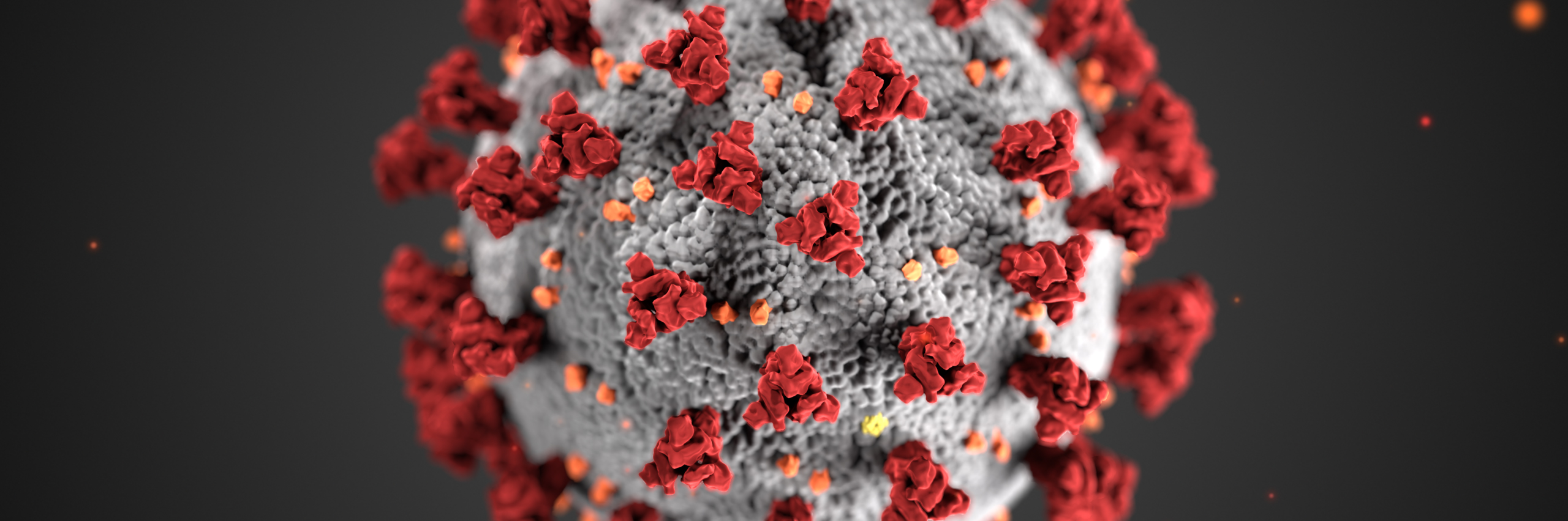 COVID-19 Virus (Coronavirus) Molecule Diagram