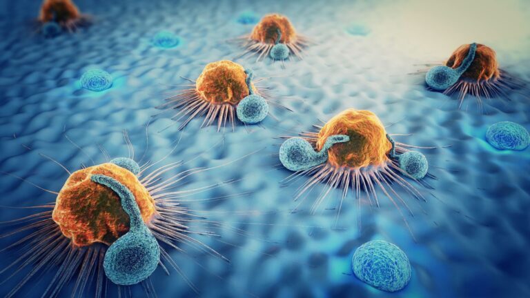 Rendered image cancer cells attacking blood cells.