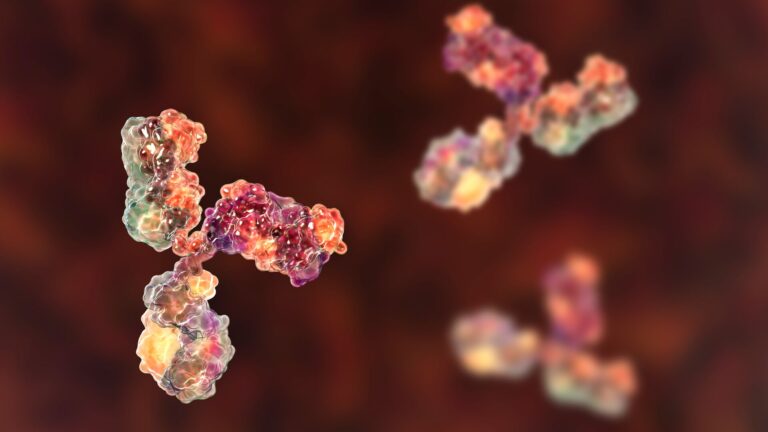 Rendered image of a immunoglobulin antibody.