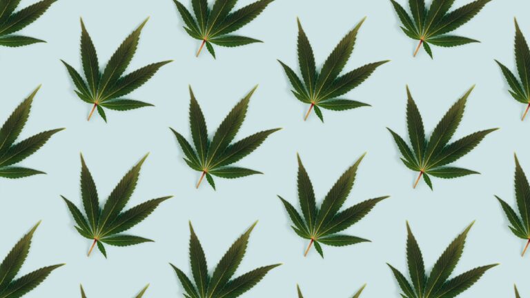 David Culver, VP, Global Government Relations at Canopy Growth joins Cowen Insights to discuss lack of Cannabis reform on the federal level. Marijuana leaves set flat on a pattern against a light blue background is the image.
