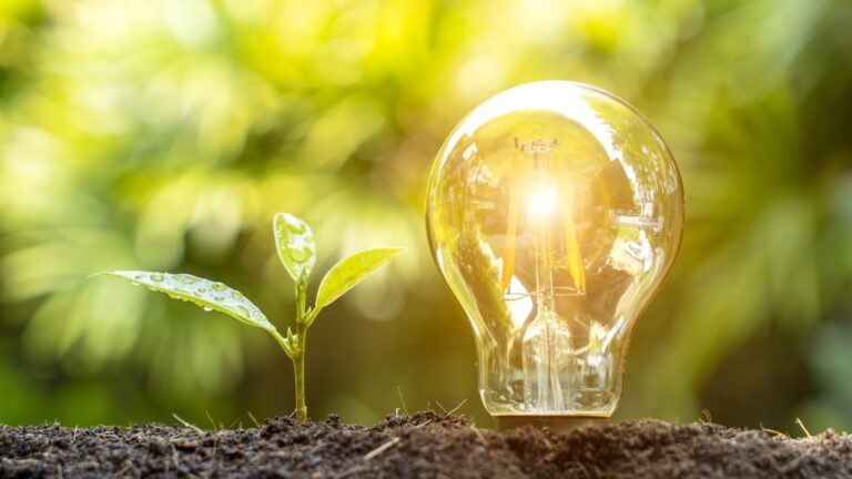 A light bulb growing out of the soil and shining its light representing novel ideas in sustainability and energy transition.