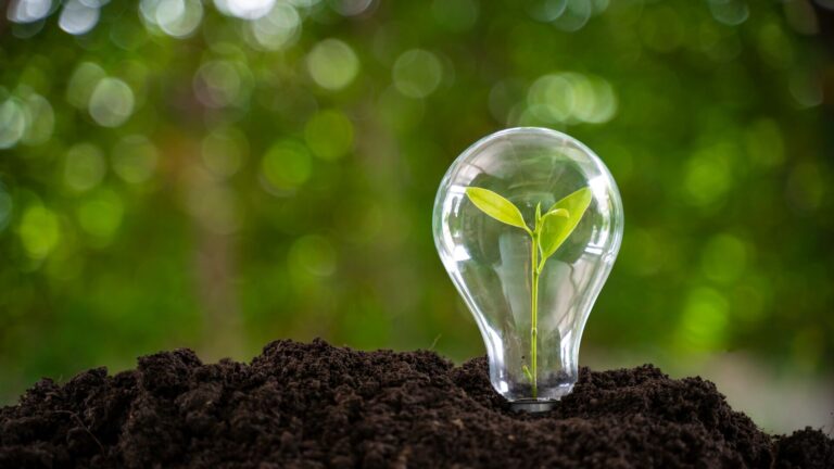 Ideas in green energy, sustainability, & carbon capture concept. A plant sprouting within a lightbulb planted in the soil with greenery in the background. In the latest Energy Transition Podcast, CEO Tim Duncan & EVP Robin Fielder of Talos Energy discuss carbon capture along the Gulf Coast.