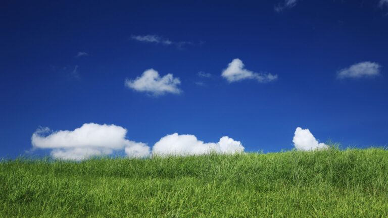 Green energy concept related to Co2 and clean air. Blue sky and pillow-like clouds above green grass. In the 6th episode of Cowen's Carbon Capture series Earthly Labs and SES CEOs discuss cryogenic equipment, carbon utilization, and storage.