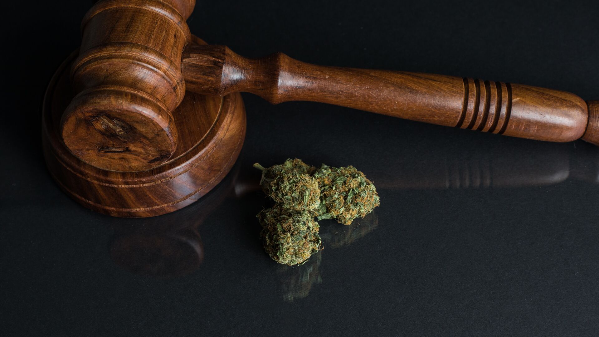 In the 4th episode of The Growth Chamber, Mary Bailey MD of the Last Prisoner Project discusses success stories & cannabis industry partners and their mission. The image is of a gavel and marijuana buds. Representative of the legal injustice perpetrated on cannabis users across the United States. Last Prisoner Project vows to correct this injustice.