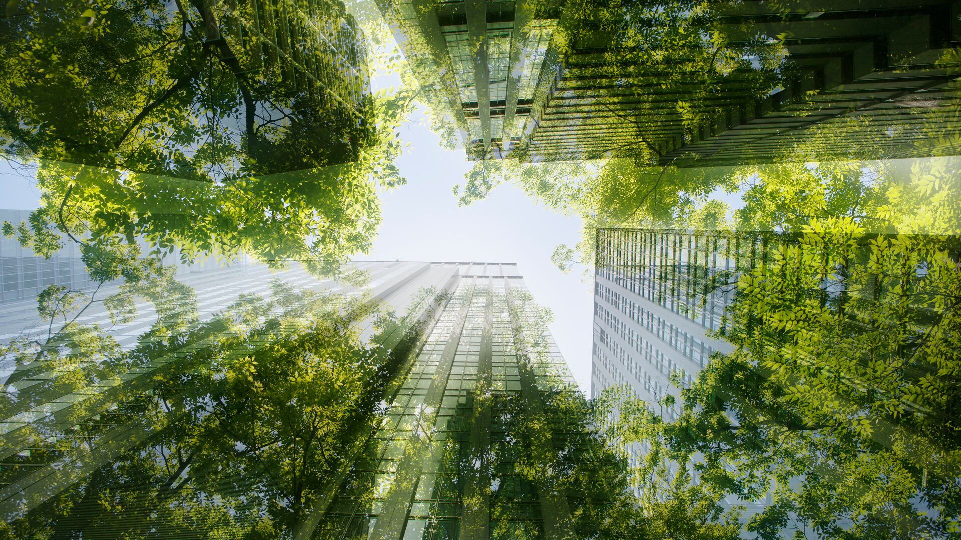 A shot lookjing up at buildings which are overlaid with reflective images of greenery plants and trees, representing ESG and sustainability research at TDCowen.