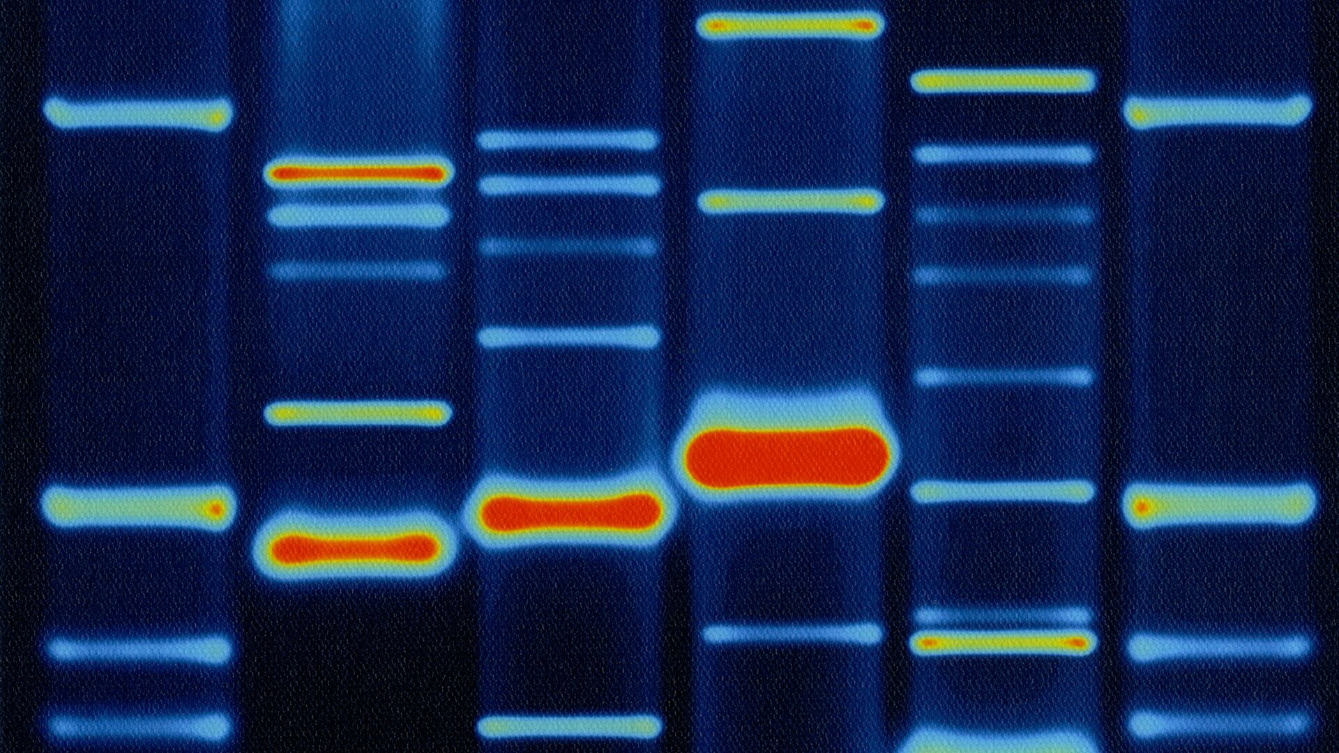 DNA configuration representing single cell spatialomics.