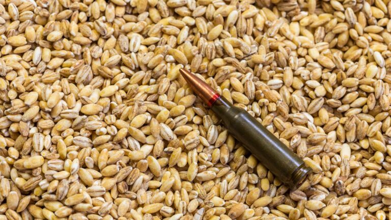 A single bullet meant for a rifle or a machine gun is set atop a pile of grain. Meant to represent the global impact of the war in Ukraine.