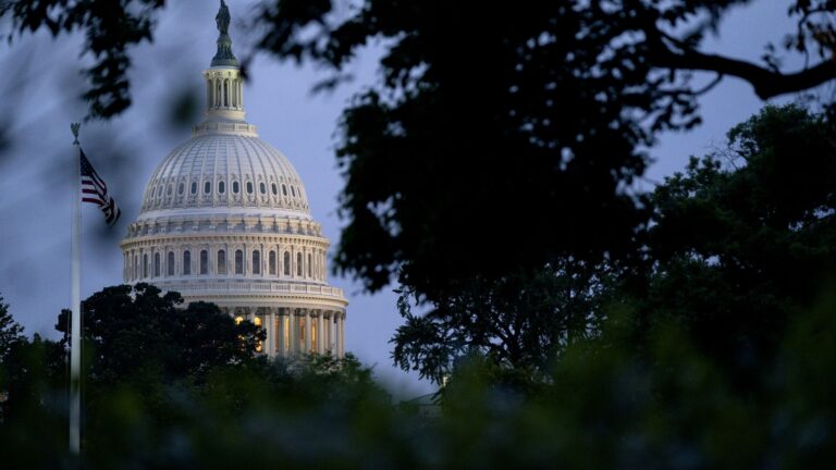 The dome of the congressional building behind the shadowy figure of a tree branch shot at magic hour.