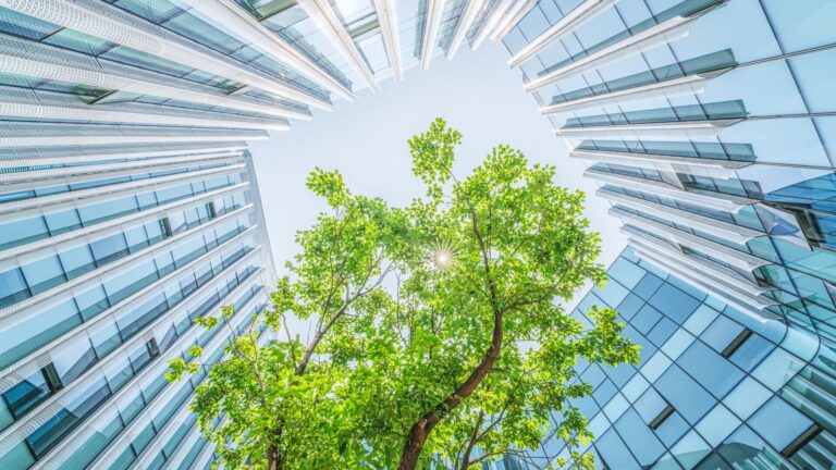 A shot looking up at a tree with bright green leaves drenched in sunlight in the middle of four towering glass office buildings representing TD Cowen's ESG efforts and 8th annual sustainability and energy transition primer.