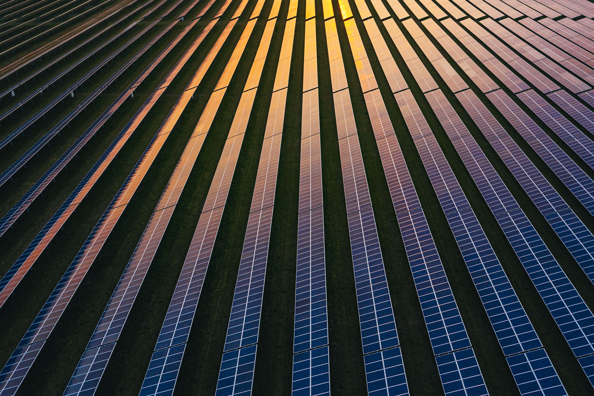 A photograph of a field of solar panels, the setting sun shining on the top of the image.